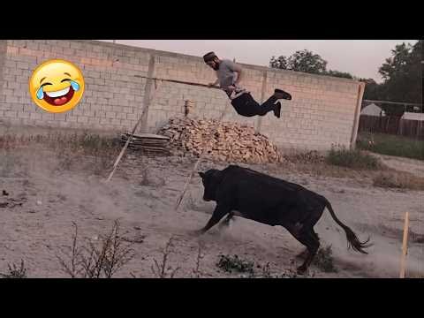 Try Not To Laugh 🤣 Top 100 Funniest Videos 2026 🎬🔥 Best Memes, Epic Fails & Pranks Compilation #55