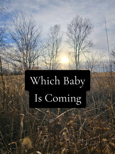 Who else has felt their babies before they come earthside? | babies