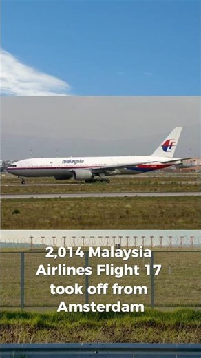 ✈️ One Missile... 298 Lives Lost | Malaysia Airlines Flight MH17#MalaysiaAirlines17#Flight17#Shorts