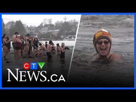 Hundreds brave the cold for polar bear dips in Maritimes