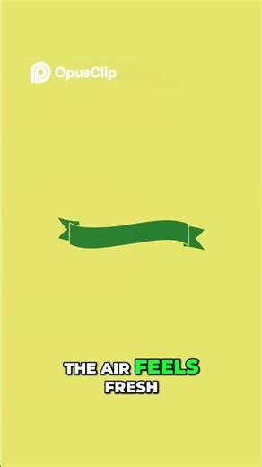 Learn the 4 Seasons: Spring, Summer, Autumn, Winter Fun! #shorts