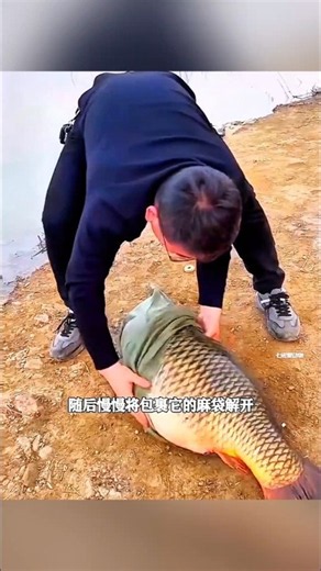 🐟जिस मछली को बचाया, 6 महीने बाद वही लौटकर आई! 😱 | #short #anime #movie #recap