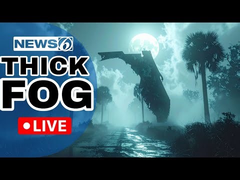 🔴NEWS 6 WEATHER LIVE AT 9:30 | Florida Is Stuck In The Fog Before Near-Record Heat Arrives