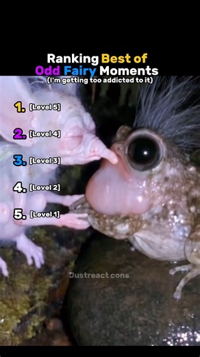 Ranking best of Odd Fairy moments 😭