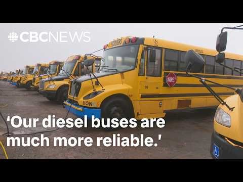 Why P.E.I. is ditching plans for an all-electric school bus fleet