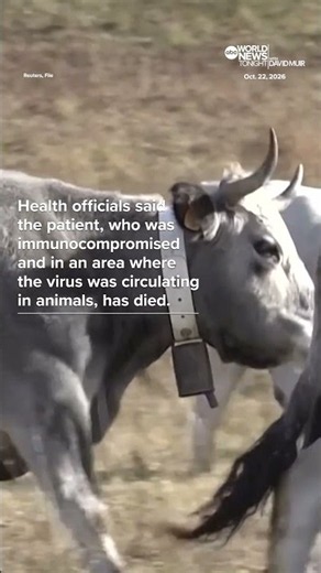 1st known human case of Shamonda virus reported by France