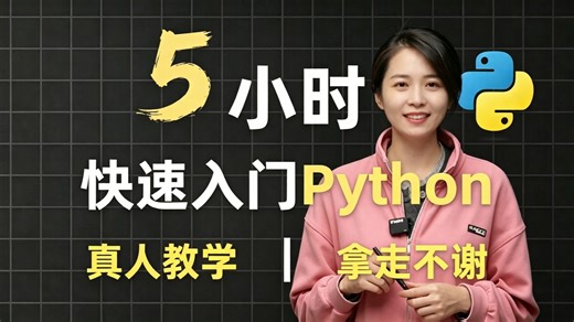 【比付费还强】5小时快速入门Python，别再走弯路了！全程通俗易懂，七天从小白到大神！