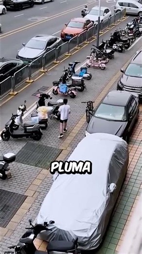 La HONESTIDAD De Japón 🇯🇵