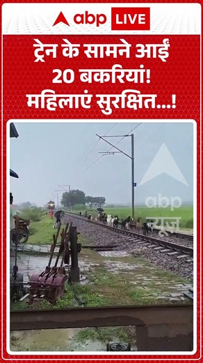 Train Accident : ट्रेन के सामने आईं 20 बकरियां! महिलाएं सुरक्षित...! Pratapgarh| #viralshorts