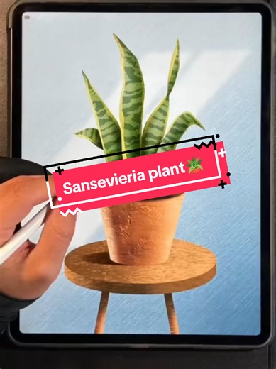 Creating Digital Art of the Sansevieria Plant