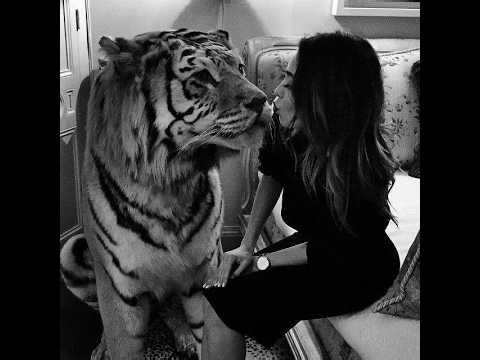 Oyun Arena | +10 Gbp/s DDoS Protection Test w/embrace ur pain