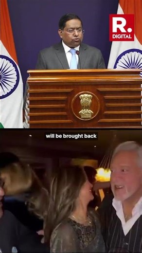 'Every Fugitive Will Be Brought Back': MEA On Mallya And Lalit Modi