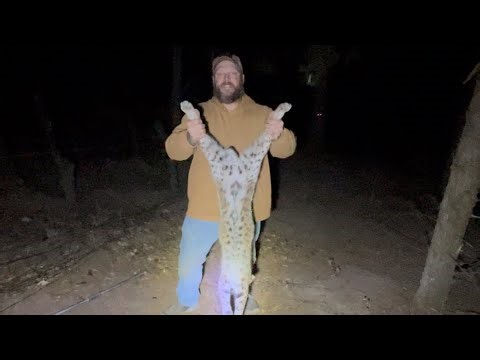 Cat #8 on this property 25-26 ep 24