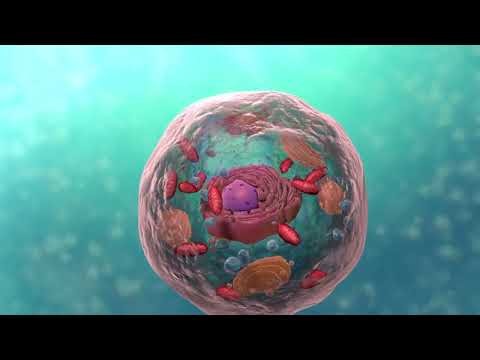 Cell – The Unit of Life | Complete Animated Revision for NDA/NEET
