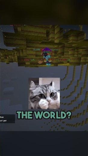 NEEDLE IN THE HAYSTACK