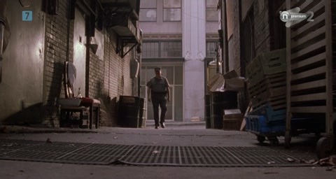Флюк (семейный, 1995)
