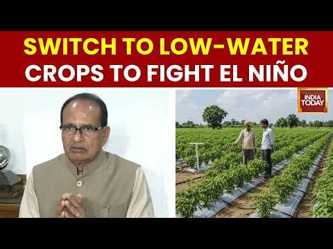 El Niño Alert! Government Issues Big Advice to Farmers | Monsoon Delay | India Today News