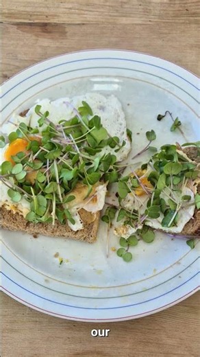 Practical Gitti growing Microgreens