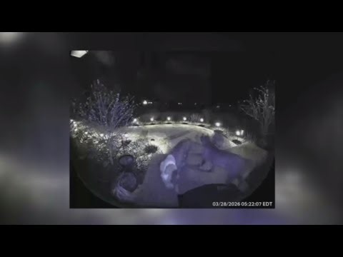 Attack on jogger leads police to track down dogs in Wayne County