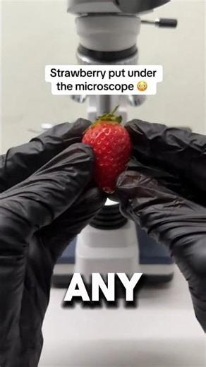 1000x Zoom: What's Inside a Strawberry? 😱🍓 #usa #microscope #ytshorts