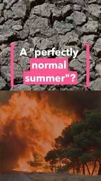 No, this wasn't a "perfectly normal summer"