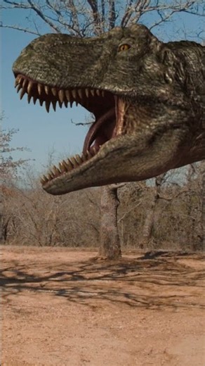 🍗 T-REX Can See You! 🍗 #shorts #irl #meat | 🦖🦕 #trex #dino #trexranch
