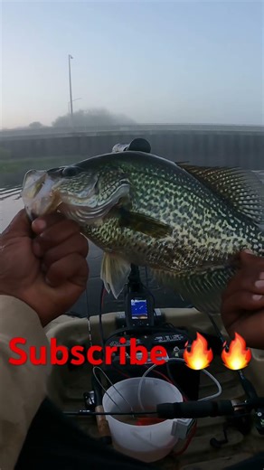 2LB Crappie On A minnow 🎣 #fishtalesj #crappiefishing