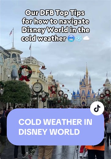 Cold Front Tips for Disney World Visitors