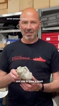 1st ever dinosaur fossil found on Antarctica