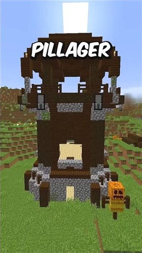 Theory of Minecraft Allays!