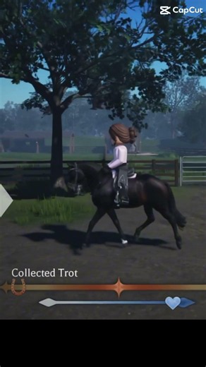 This horse broke her foot last year!!