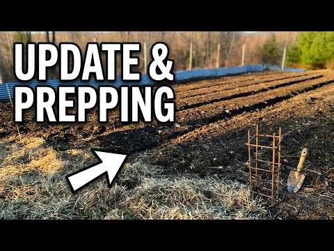 Vegetable garden prep and update