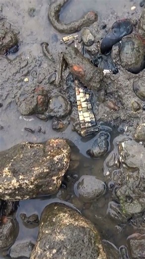 A Watch Found on the Thames Foreshore