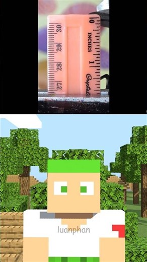 Ruler Crack - Minecraft Animation #Shorts #luanphan