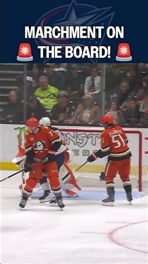 Immediate Impact!🚨