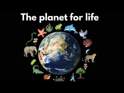Earth as the planet for life | Middle school Earth and space science | Khan Academy