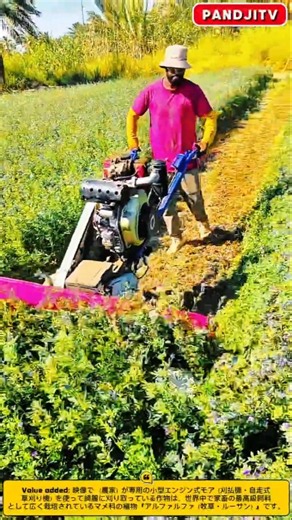 爽快な草刈り作業！広大な畑でアルファルファを美しく刈り取る職人技#smart #harvest #farmlife #tools #machine #shortsfeed #ideas #diy