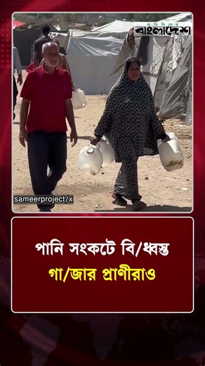 পানি সংকটে বি/ধ্বস্ত গা/জার প্রাণীরাও | Protidiner Bangladesh