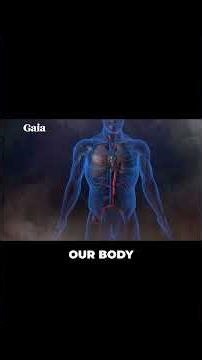 Connect Your Body to the Cosmos