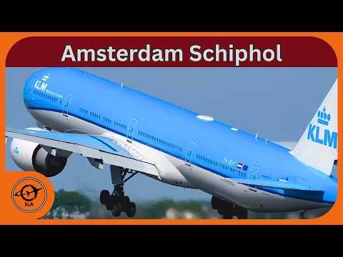 Amsterdam Schiphol Airport - Live! | Tuesday 30th June 2026