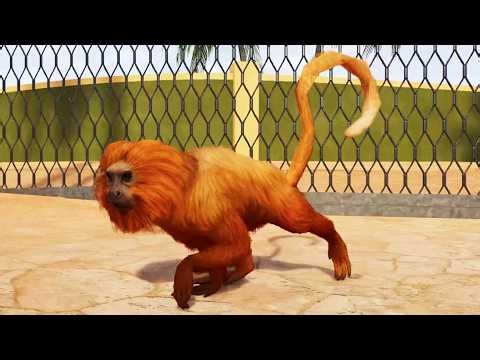 Planet Zoo 2 - Golden Lion Tamarin Gameplay (PS5 UHD) [4K30FPS]