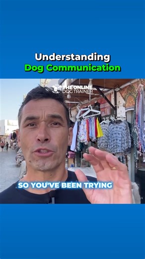 How you communicate with your dog changes everything! Your dog needs to understand you—and this means you have to learn how to really communicate with them. But don't worry—it’s not rocket science, it’s just pure dog psychology. I talk more about how you can better communicate with your dog in my free webinar. You can register in the comments below. | Doggy Dan