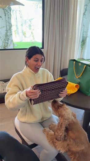 Surprise Gift: My Dream Goyard Bag