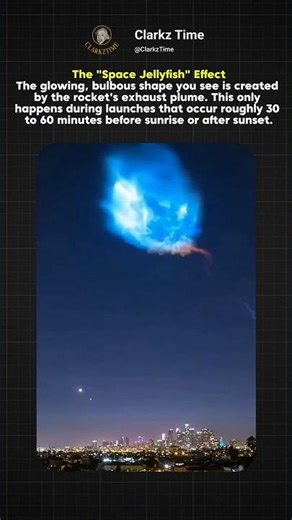 The "Space Jellyfish" Effect Explained ⚛️