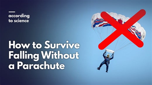 The physics of surviving a fall without a parachute
