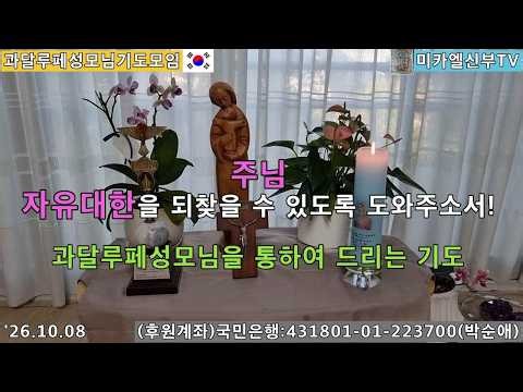'26년10월8일 연중 제27주간 목요일 기도