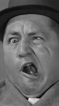 The Three Stooges Have A Flea Infestation!