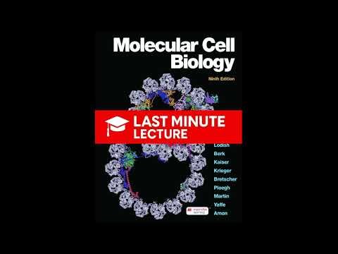 Evolution: Molecules, Genes, Cells & Organisms | Chapter 1 – Molecular Cell Biology (9th)