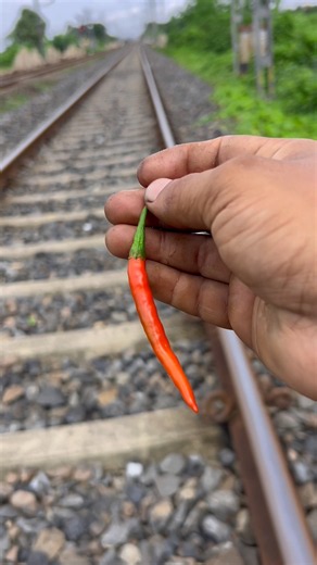Hot Chili 🌶️ vs Train 🚂 what 😱happened next..?