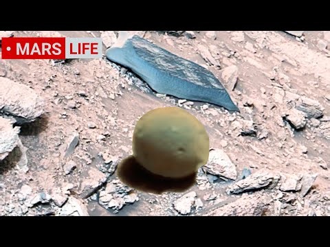 NASA Mars Rover Sent Most Incredible Footage of Mars Life? Perseverance and Curiosity rover 4K Mars